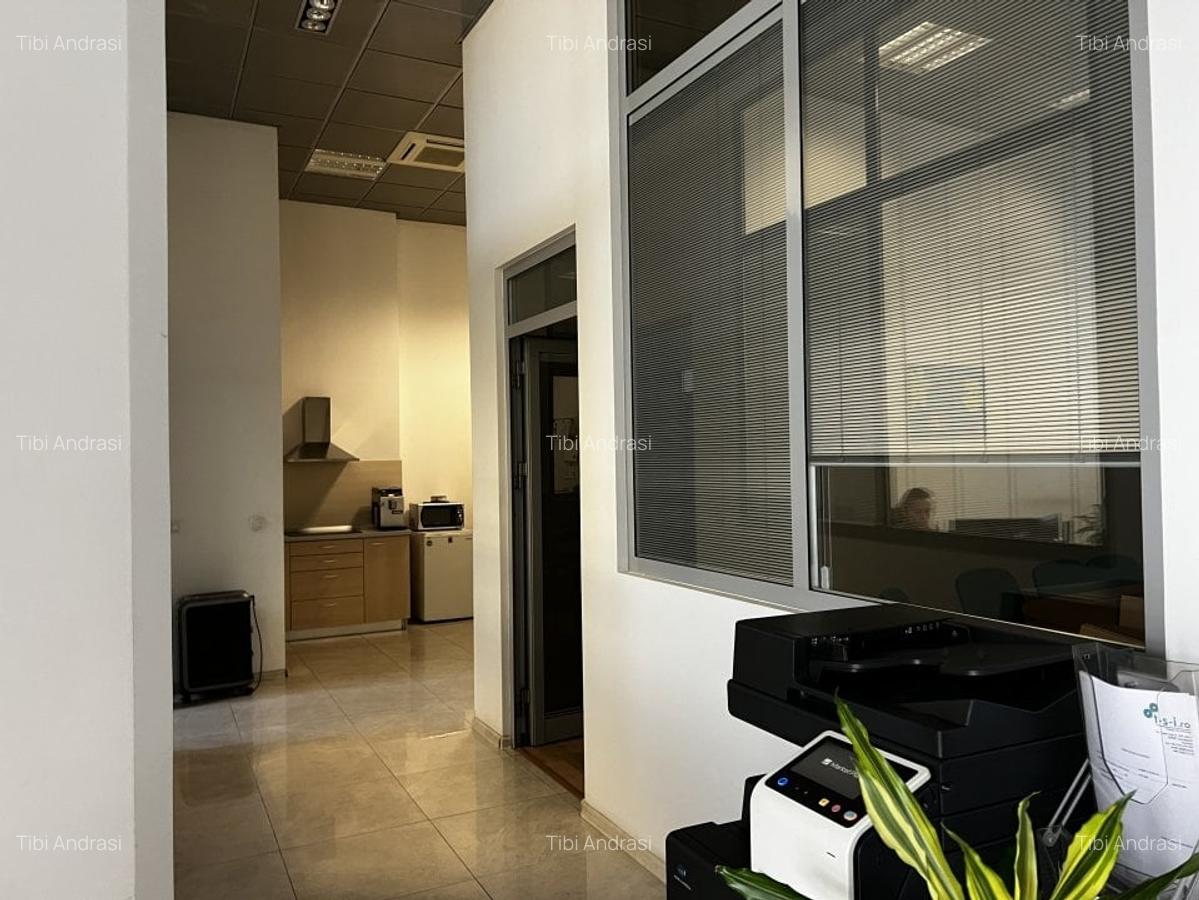 Spațiu industrial, 850 mp în Someșeni - 8