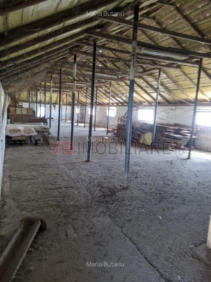 Ferma Zootehnică Mixtă – Cernateaz, Timiș | 9,5 ha | Hale Moderne, Casă 20 - 5