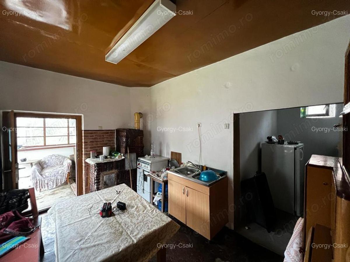 Casa sanatoasa cu teren 3000 mp - Sisterea - IMOBIHOR - 7
