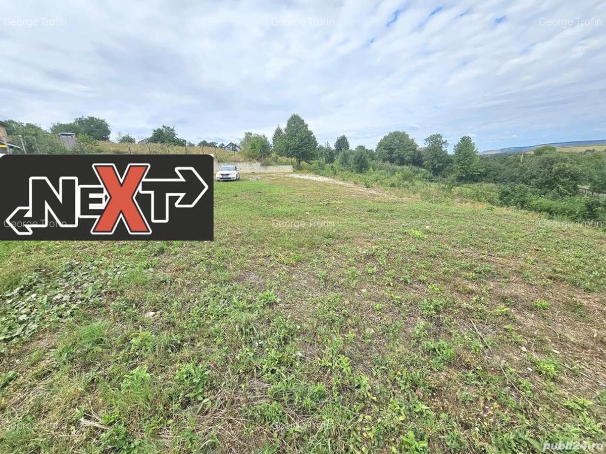 Teren dobreni la strada principala - 4