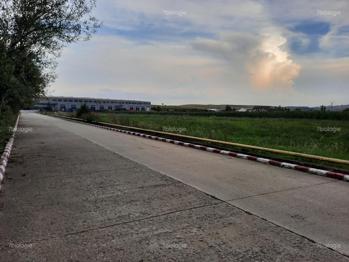 Teren, 5800 mp, intravilan in Comuna Tureni, Jud Cluj - 7