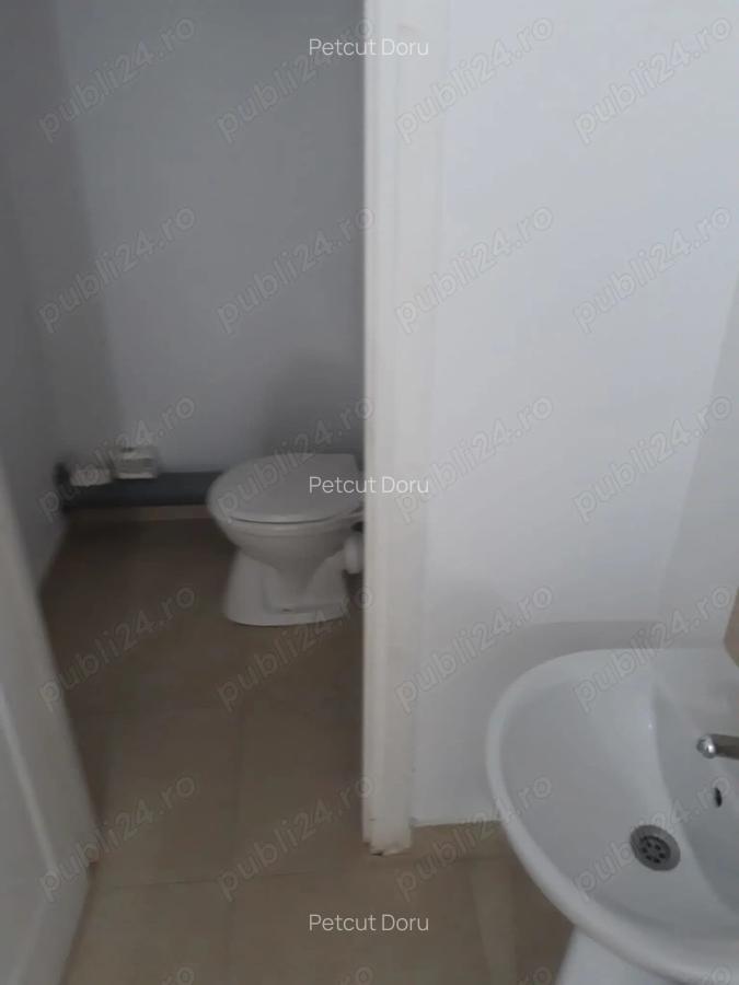 Inchiriez spatiu comercial zona ared-uri kaufland banu maracine - 5