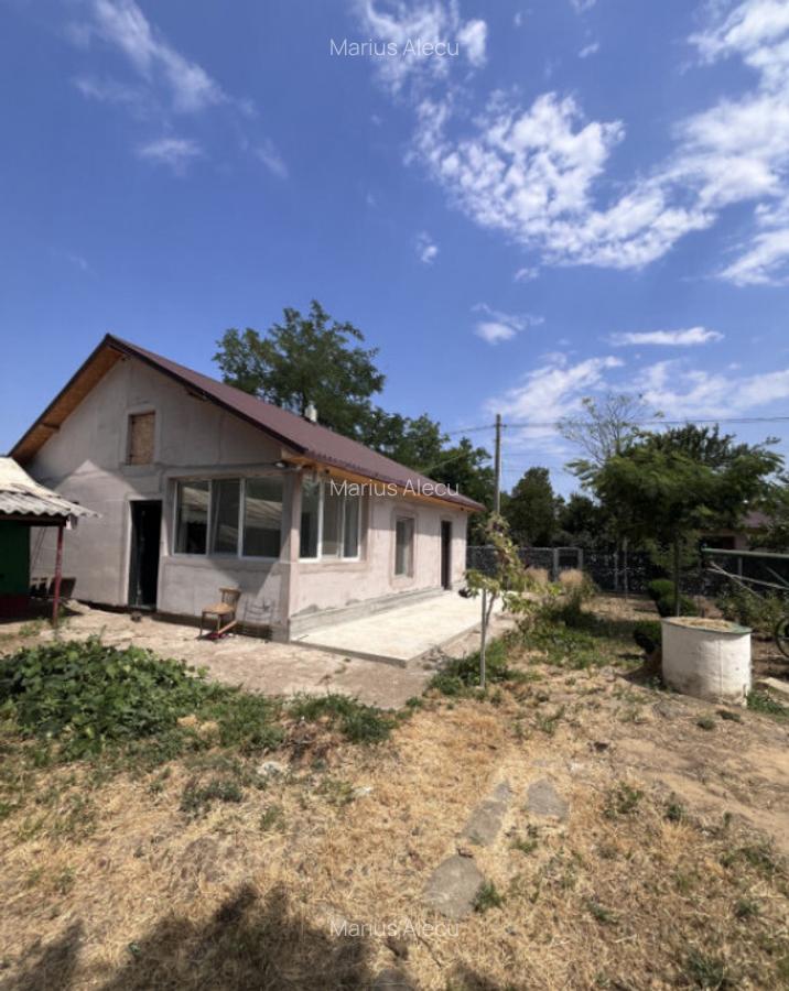 Casa de vacanta - Munteni Buzau - Jutetul Ialomita - Curte 2 - 1