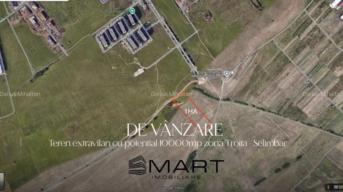 Teren extravilan 10000mp zona Mihai Viteazul - Avangarden - 1