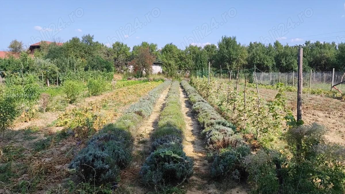 Casa de vanzare in loc.Halmeu - 10