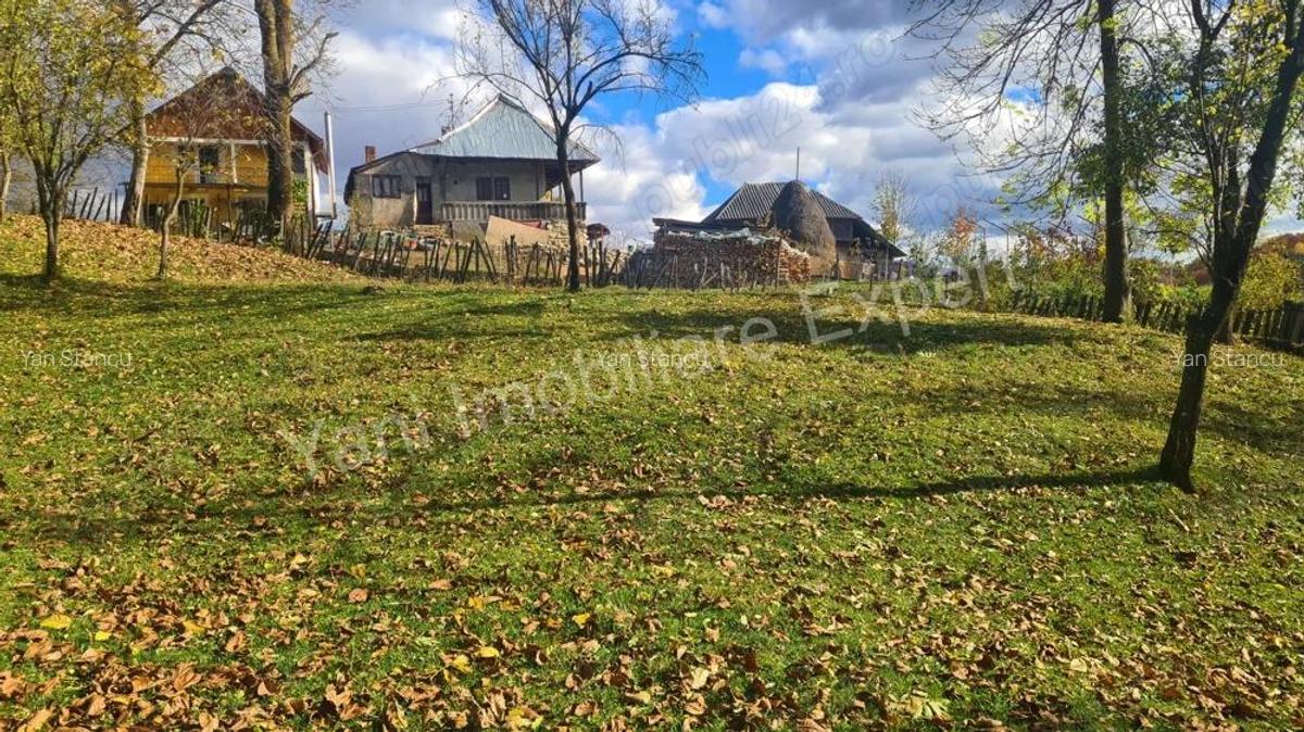 Teren de vanzare in comuna Arefu, jude? Arge?. - 15