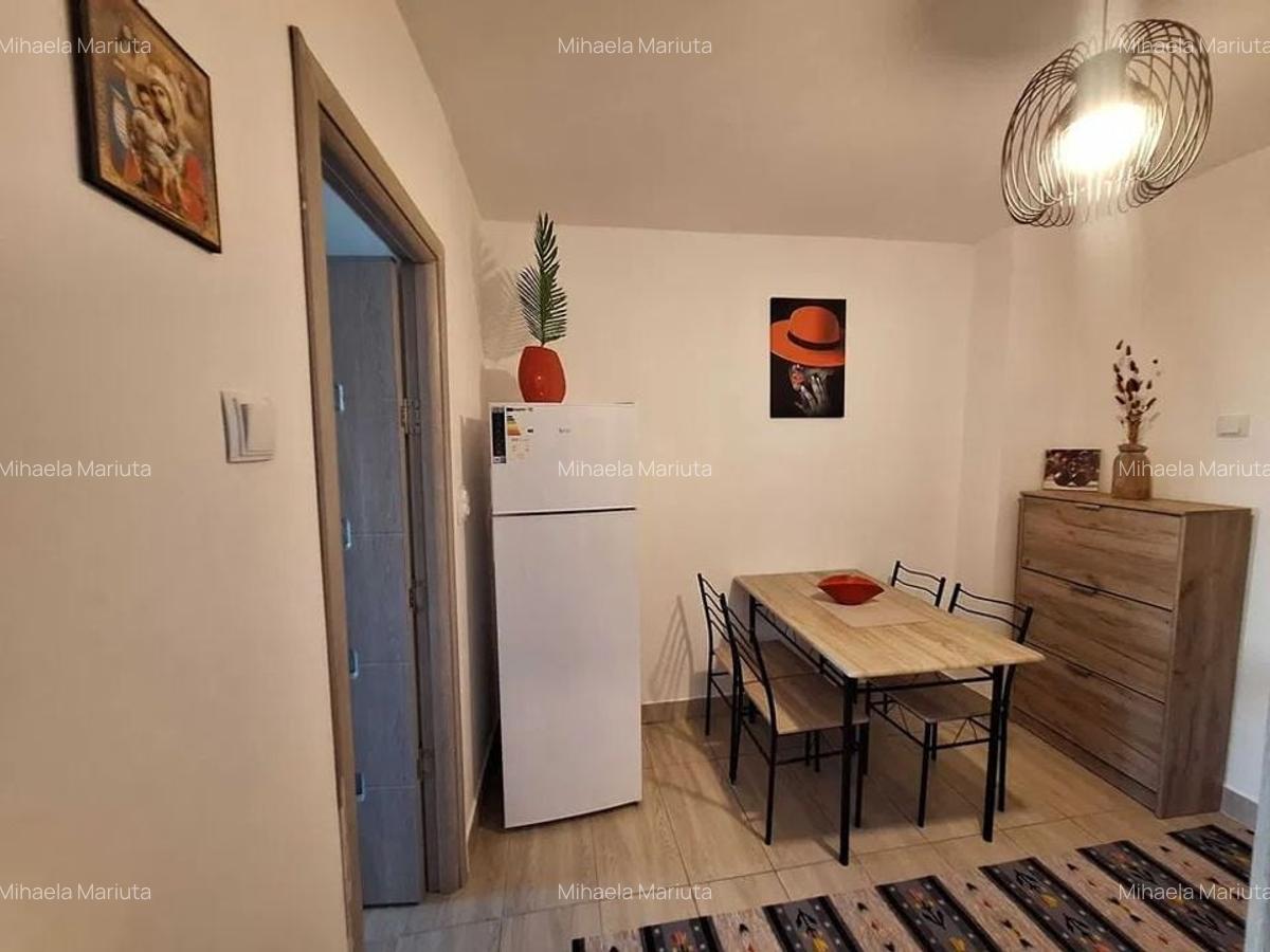 GARSONIERA VITAN, BOILER, PET-FRIENDLY, BUCATARIE SEPARATA, MODERN - 4