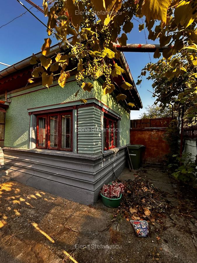 București Noi - Laminorului - vanzare casa cu teren 323 mp - 14 mp deschidere - 1