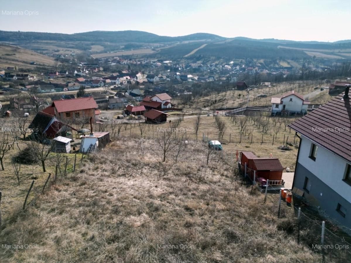 Teren Intravilan 662mp spre vanzare in Hamba ,Sura Mare - 4