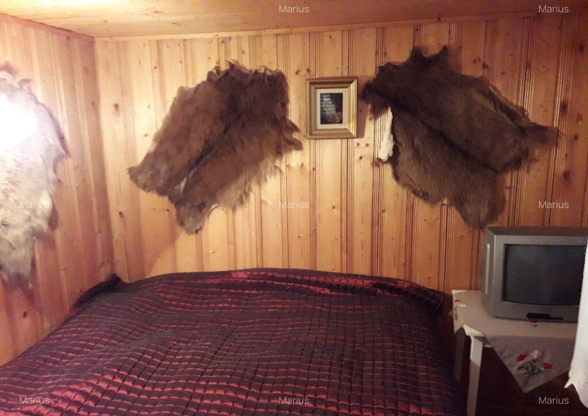 Casa Sunatori, Vatra Dornei, Suceava - 9