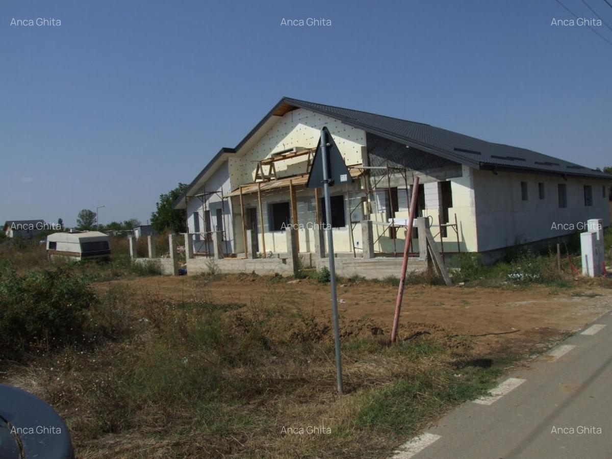 Domnesti-Salciei-stradal - 3