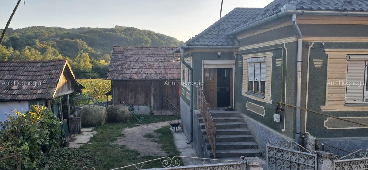 Casa de vanzare Rusu de Sus - 4