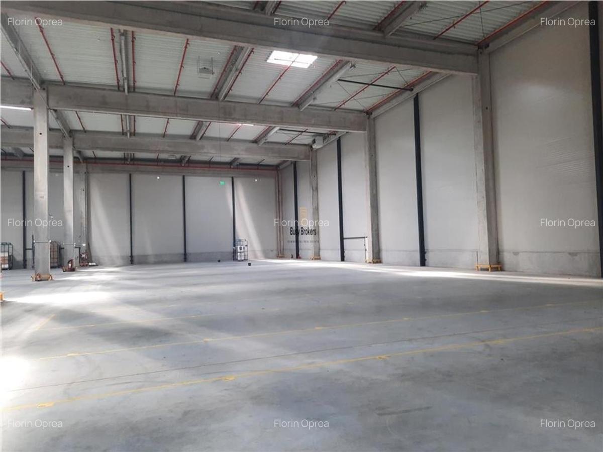 Spatiu Industrial - 3000 mp - Logistica - Productie - Depozitare - 4