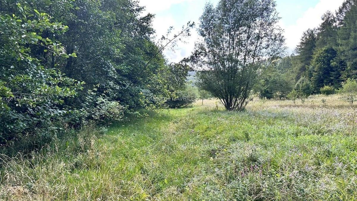 Teren Construcții intravilan de 4000 mp, în Brădet - 15