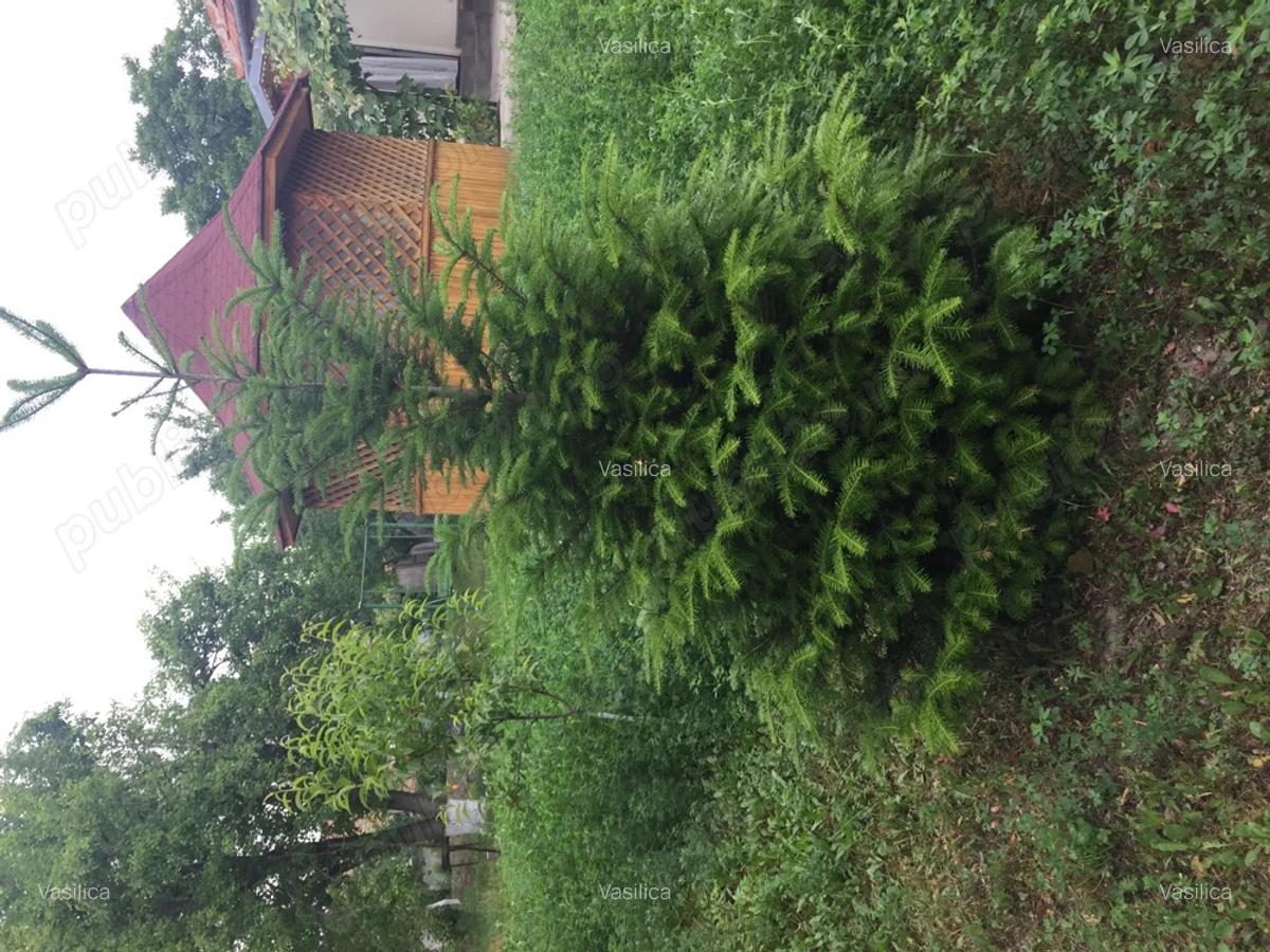 Casa de vanzare Parscov, Buzau - 1