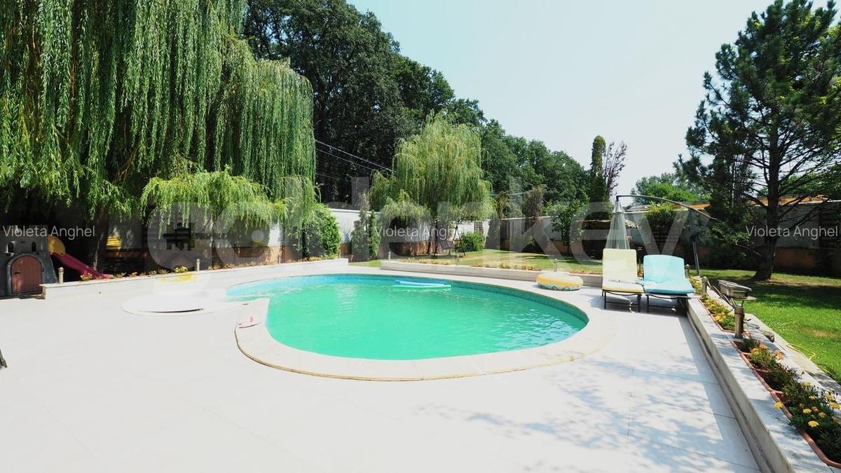 Vila cu 7 camere inconjurata de verdeata | piscina | 1178mp teren - 3