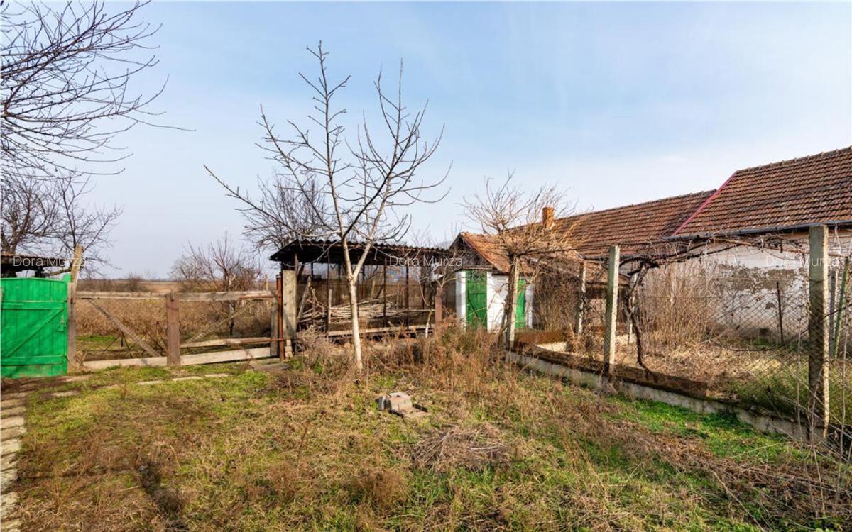 RECO Casa cu teren 3036mp, Bors - 18