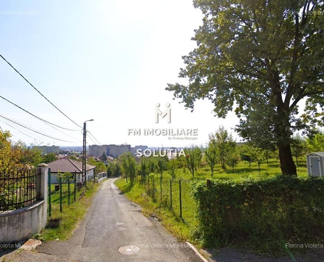 Teren intravilan 10 ari, zona Grigore Ureche, PUZ! - 5