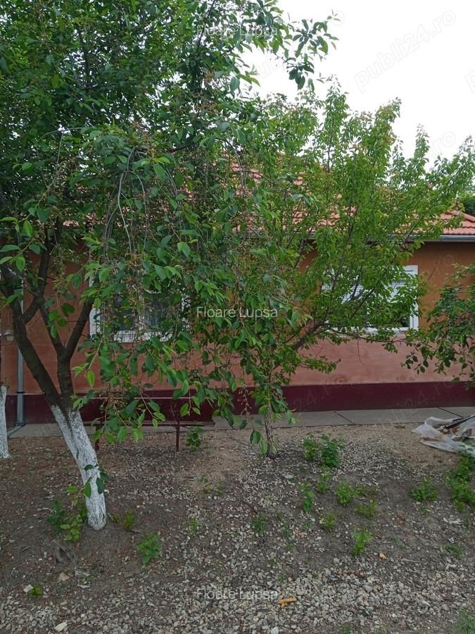 Casa vanzare seleus - 1