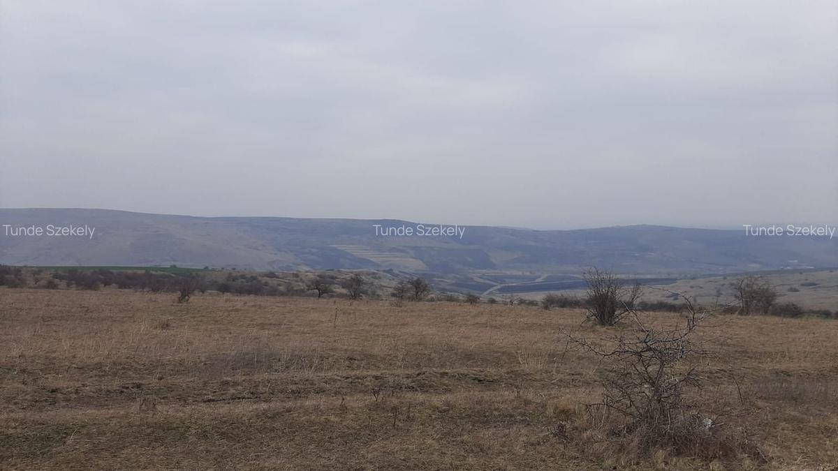 Teren agricol pentru investitii, zona Valea Calda -Iris - 7