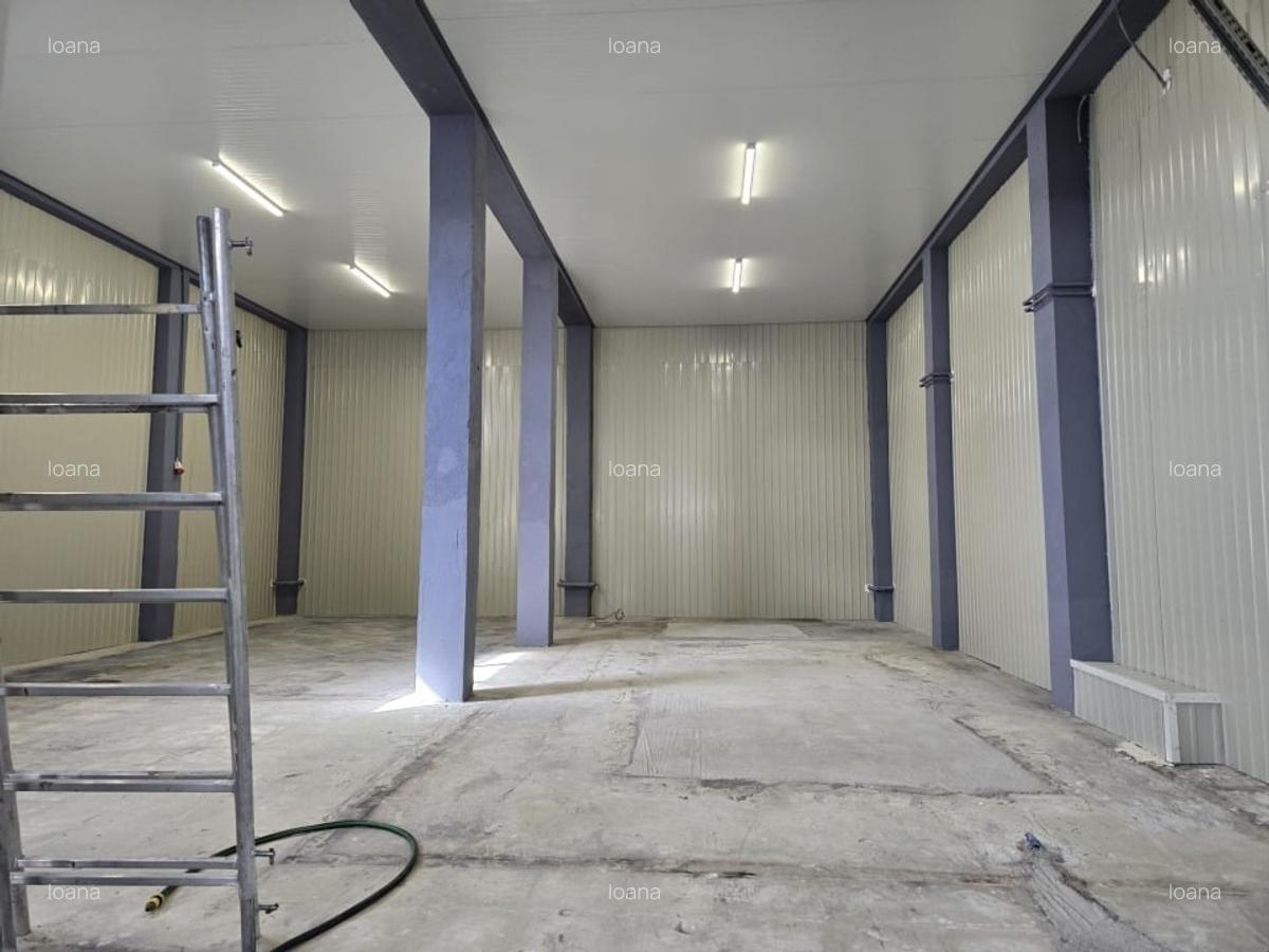 SPATII BIROURI 70mp + hala 293 mp- sos Chitilei - 9