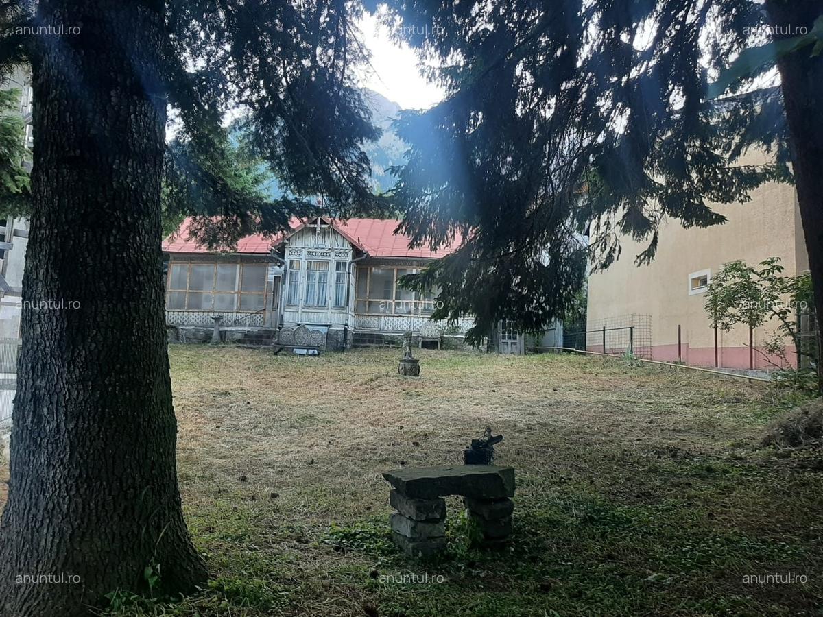 Busteni, ultracentral - 2