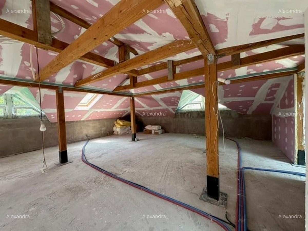 Vanzare vila individuala cu garaj si curte - Herastrau - 12