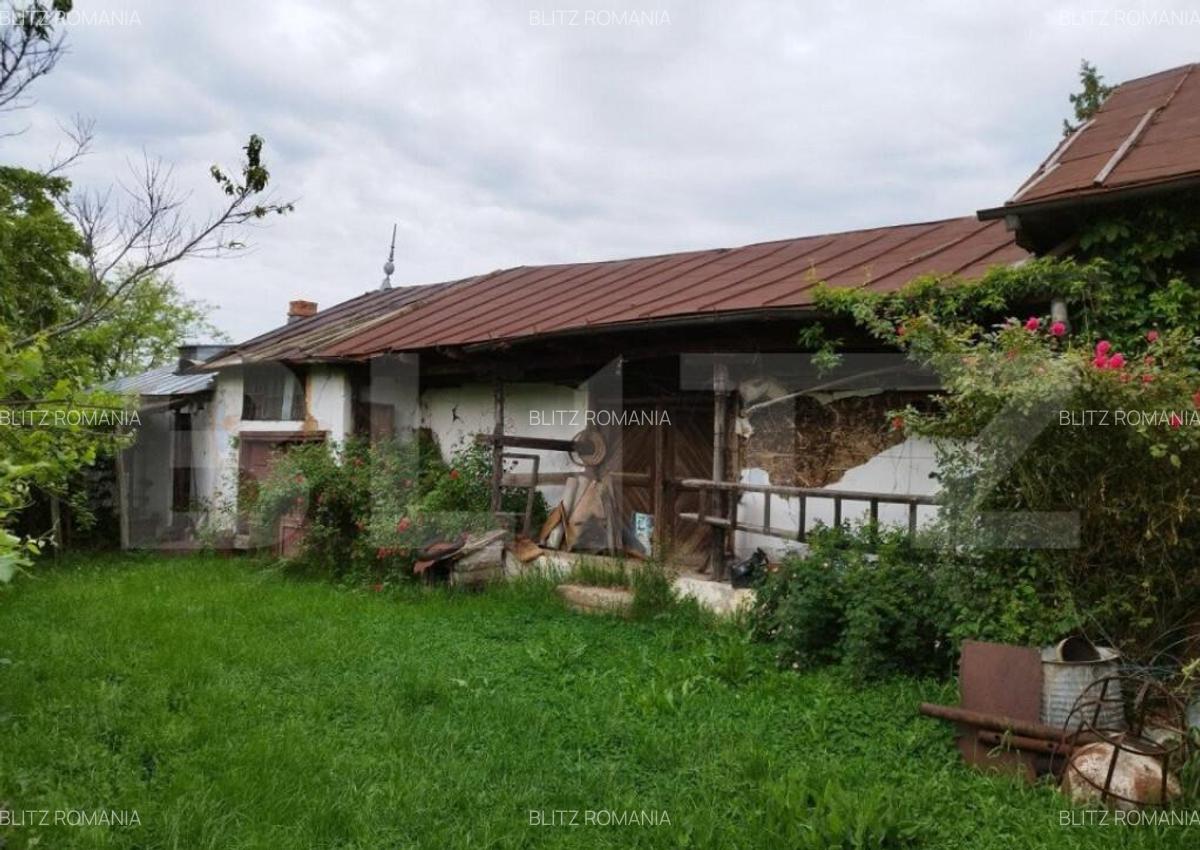 Casa individuala cu crama, teren 6700mp, Plopu - 2