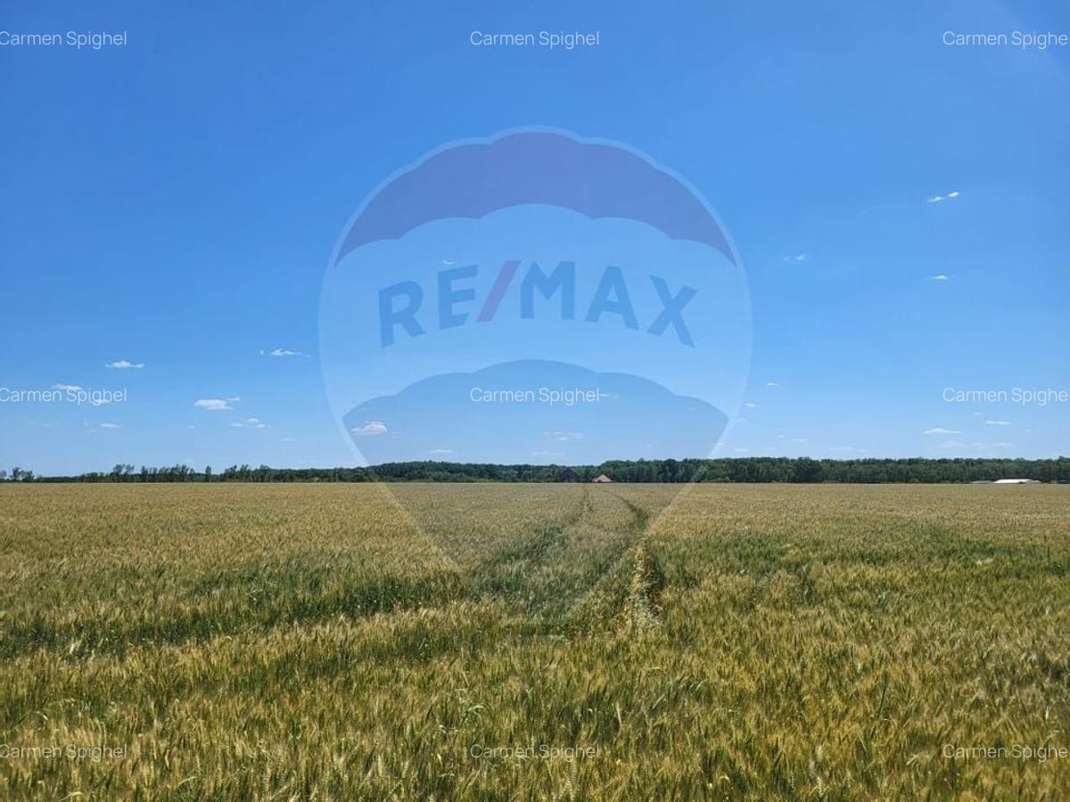 Teren intravilan 30,000mp Corbeanca P+1+E2 - 1