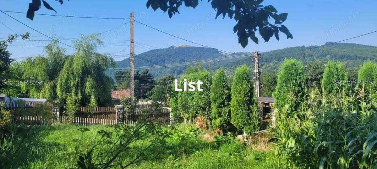 Casa Duplex 6 dormitoare, Valea Doftanei - 8