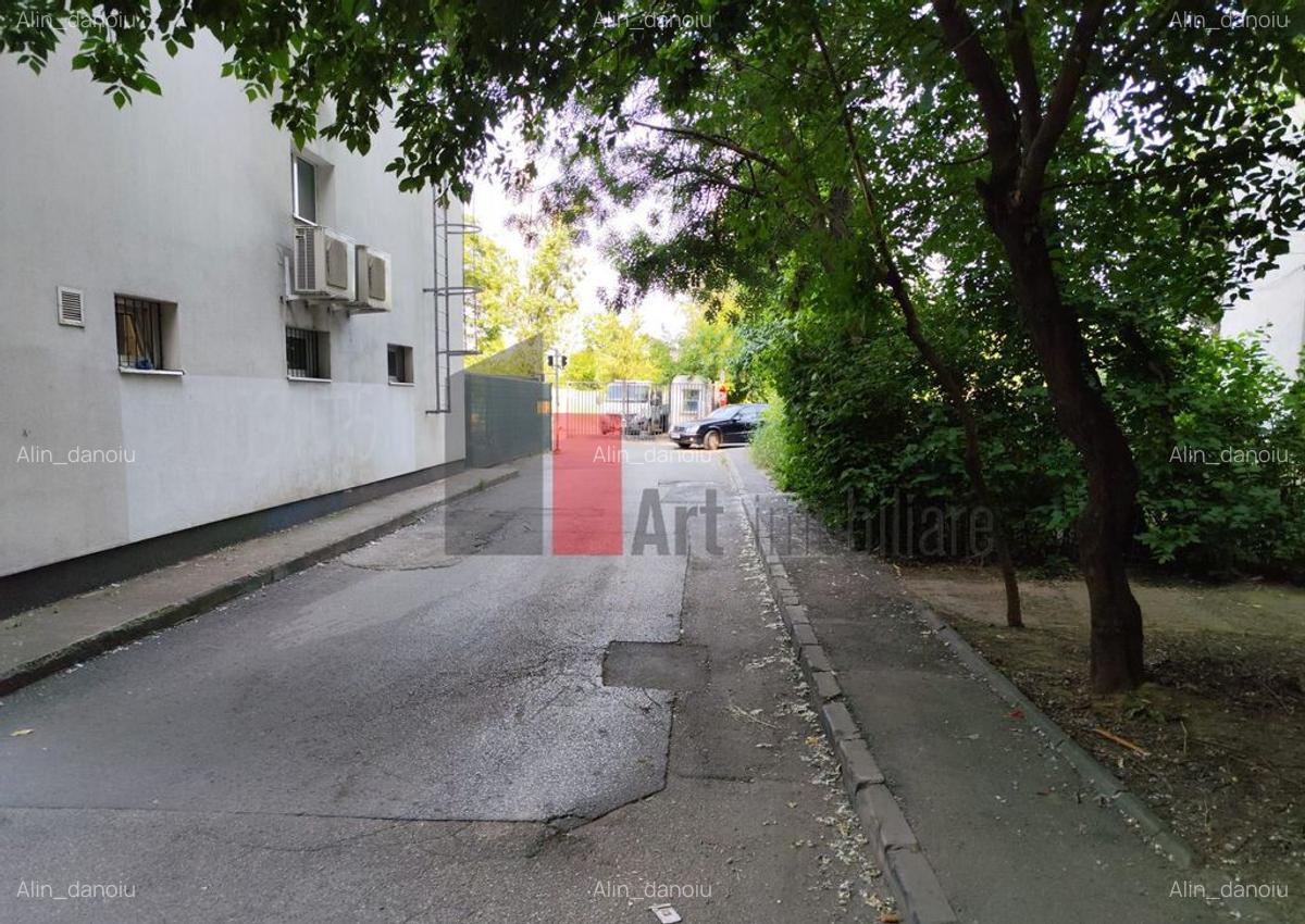 Spatiu comercial de inchiriat in zona Virtutii - 14