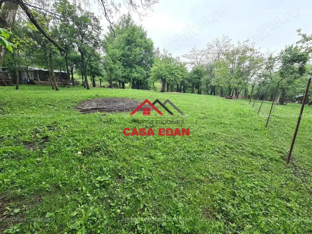 Teren intravilan construibil in Poiana Campina--447 mp---22.000e - 7