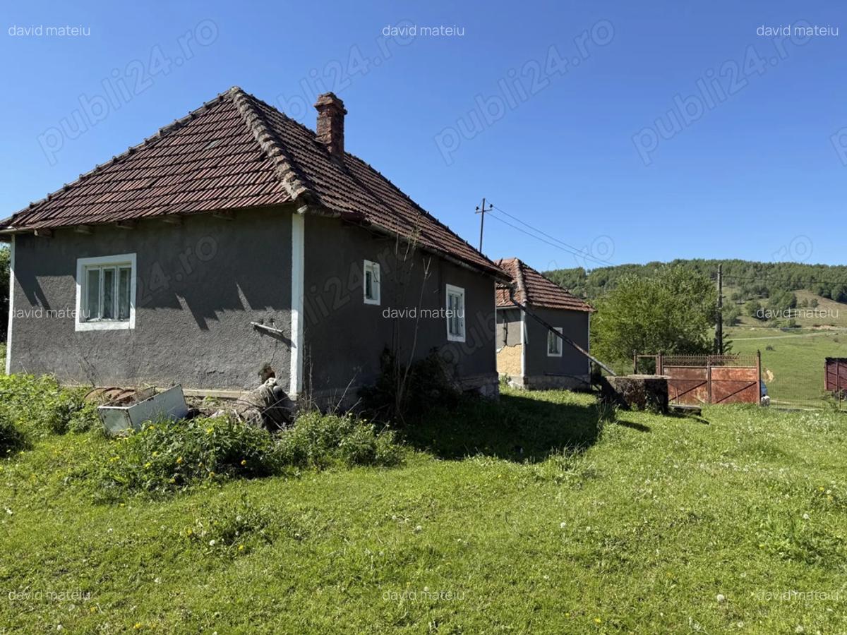 Vind casa in Tomnatic - 10