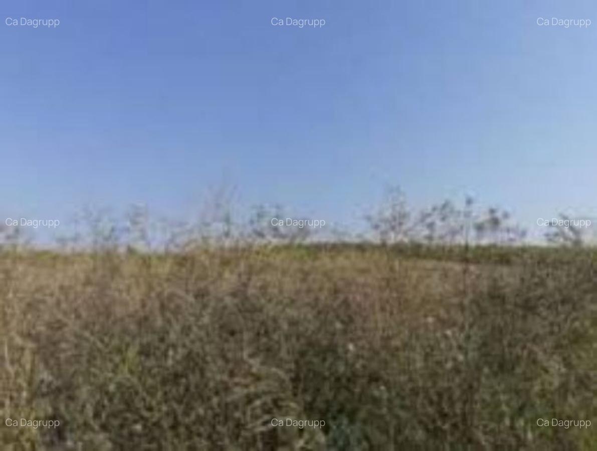 3,10 ha terenuri agricole la Milcov judetul Olt - 1