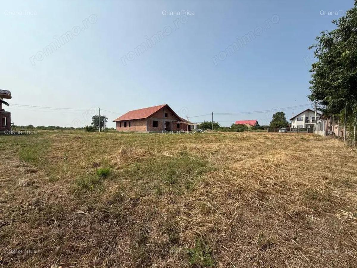 Inchiriem viitorul pe metru patrat, teren 800 mp, intravilan-Peciu Nou - 4 Inchiriem viitorul pe metru patrat, teren 800 mp, intravilan-Peciu Nou - 4