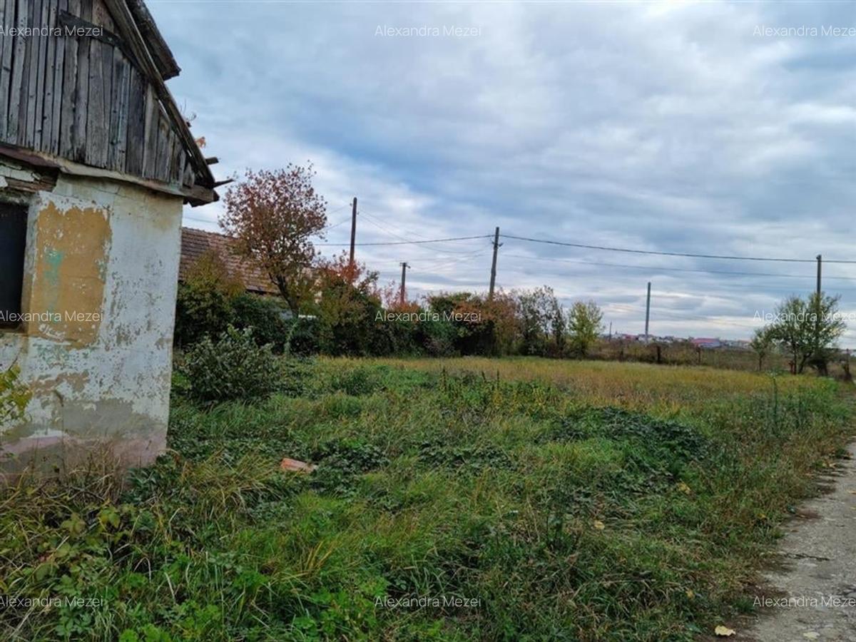 RECO Teren intravilan 900 mp cu toate utilitatile- Osorhei - 4