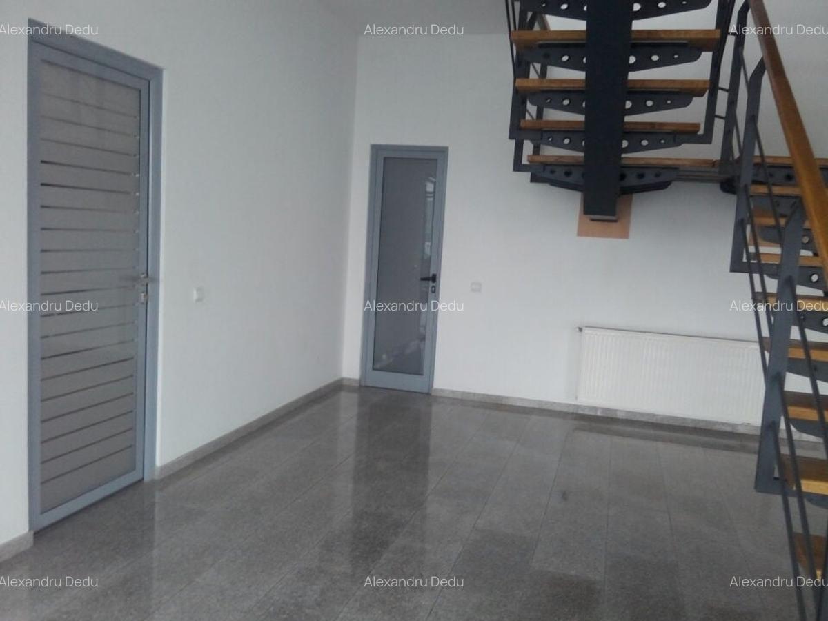 Spațiu industrial, 360 mp în Theodor Pallady - 8