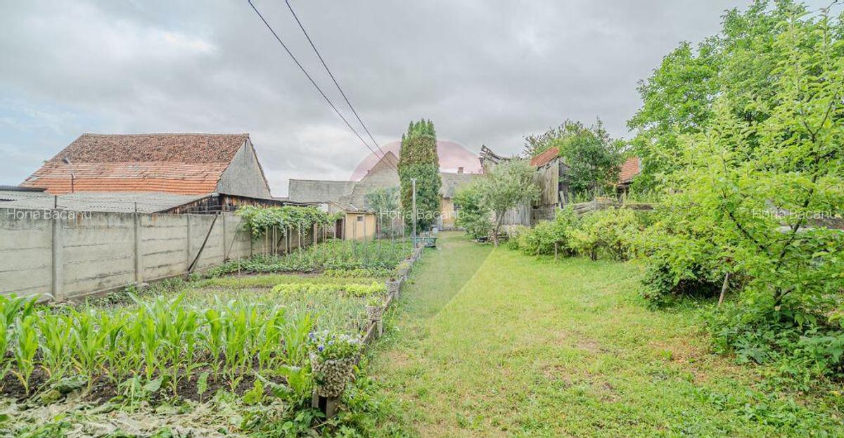 Comision 0 | Casa cu 3 camere, teren 1541 mp, livada, b... - 13