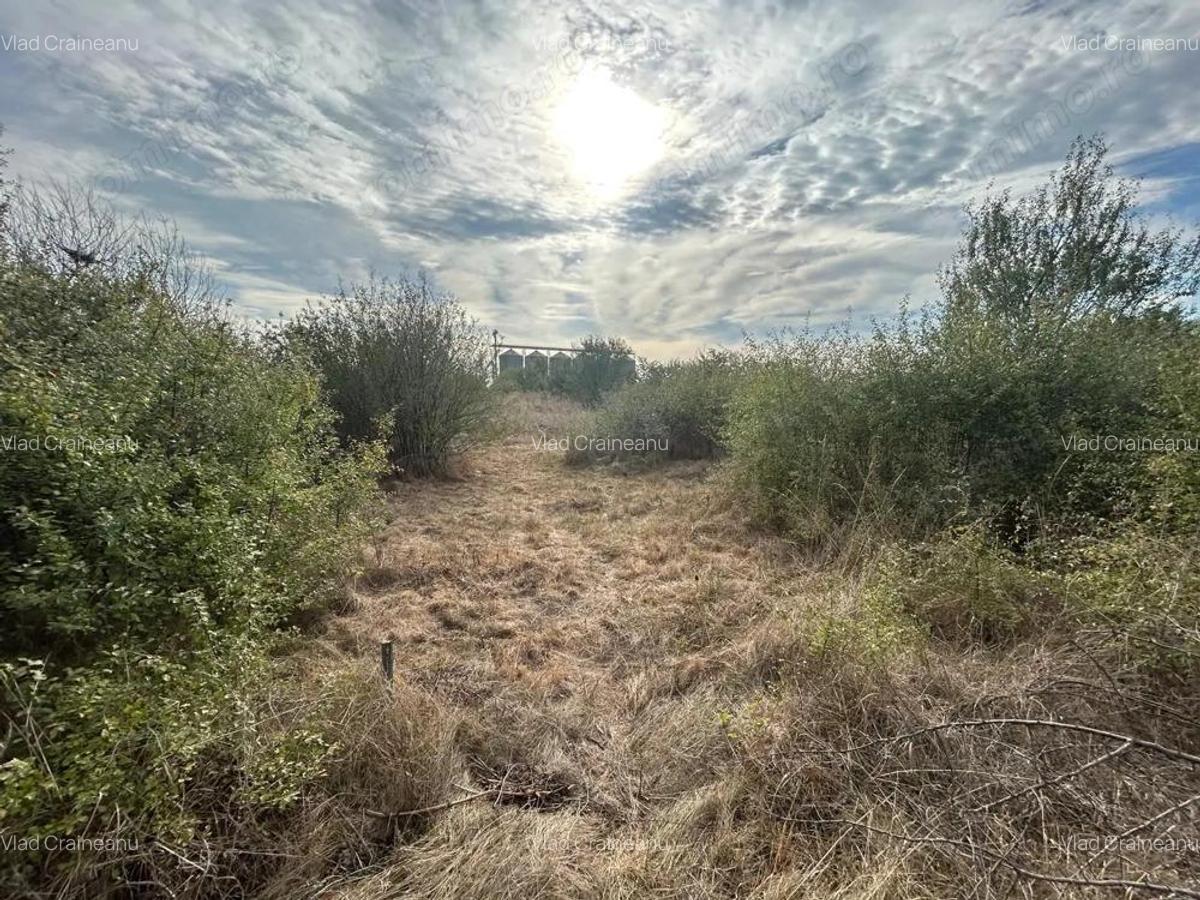 COMISION 0 | Teren intravilan | 945mp | Sacalaz Vest - 3