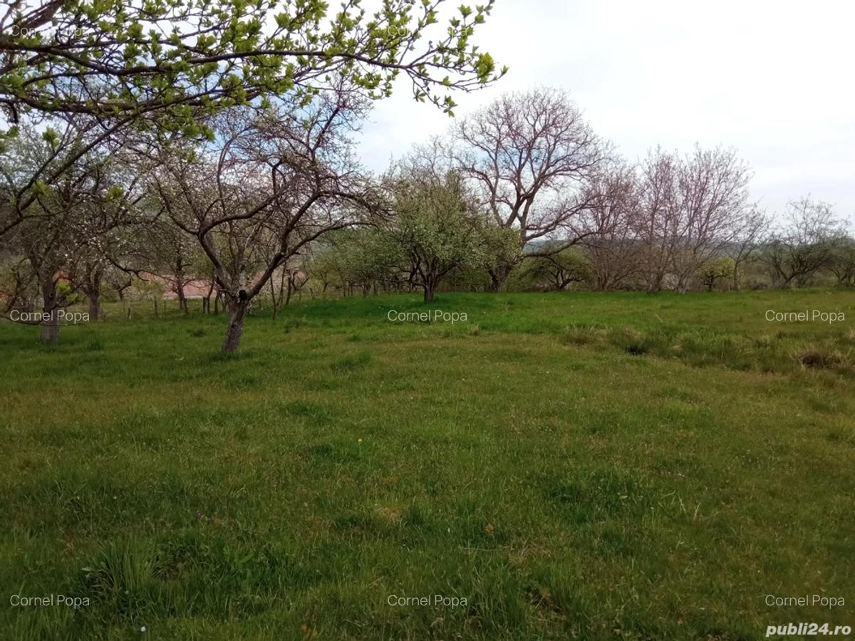 Vand casa cu gradina - 5