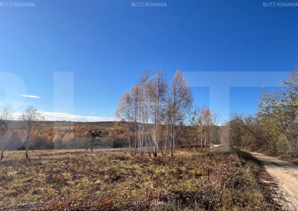 Teren construibil de vanzare, zona casele Micesti - 4