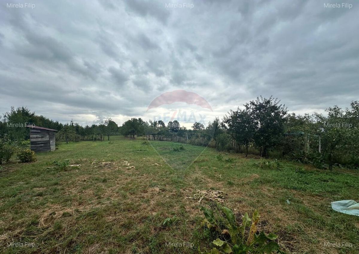 30 arii TEREN INTRAVILAN cu o GOSPODARIE veche - 3