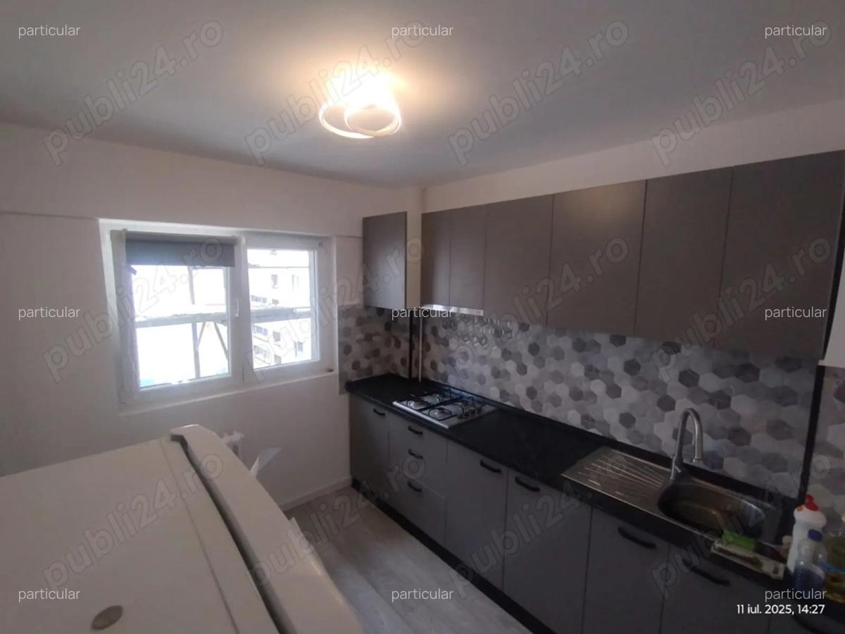 Basarabia Particular Chi?inau Proprietar Delfinului - 2