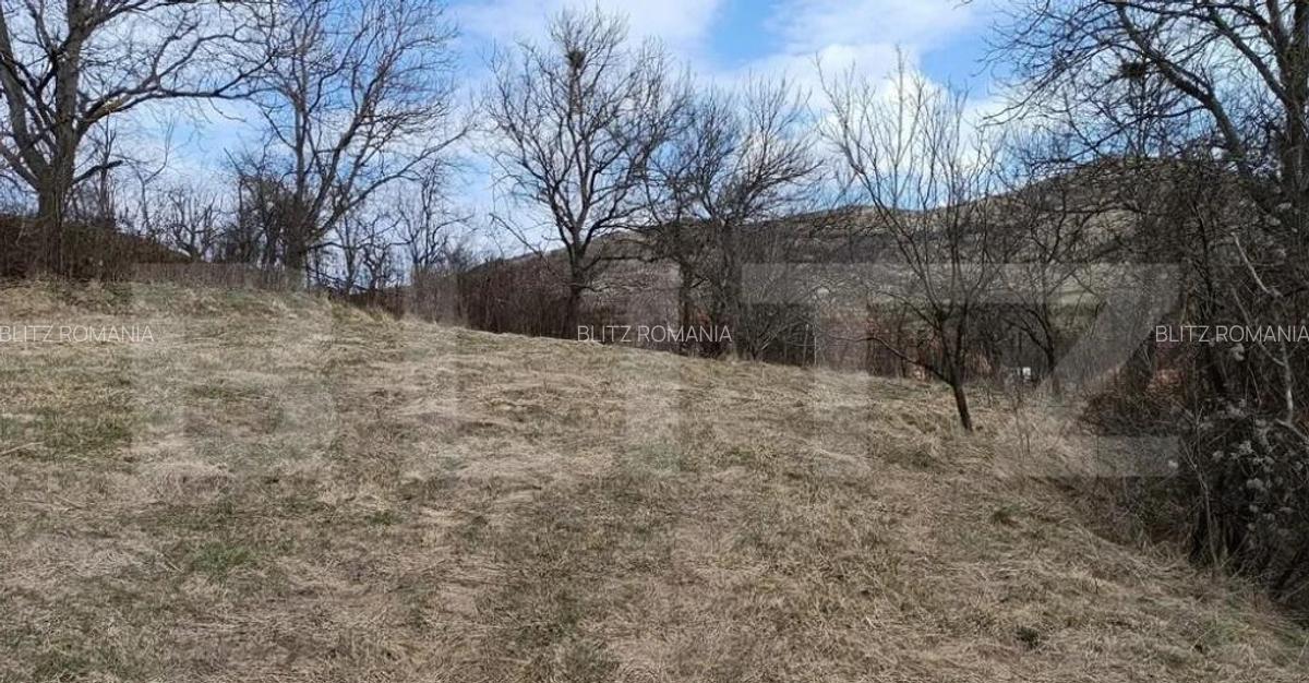 Casa veche cu teren generos de 5.300 mp oportunitate de - 6