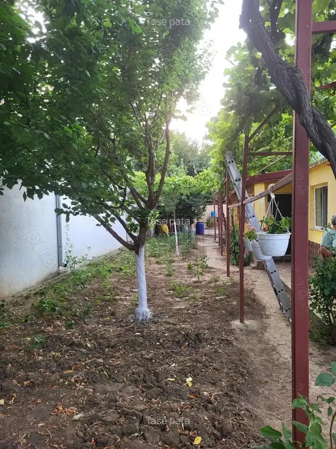 VAND casa Zona Coiciu - 7