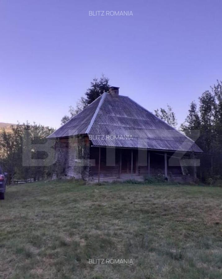 Casa la munte, cu teren 13383 mp, zona Horea - Apuseni - 2