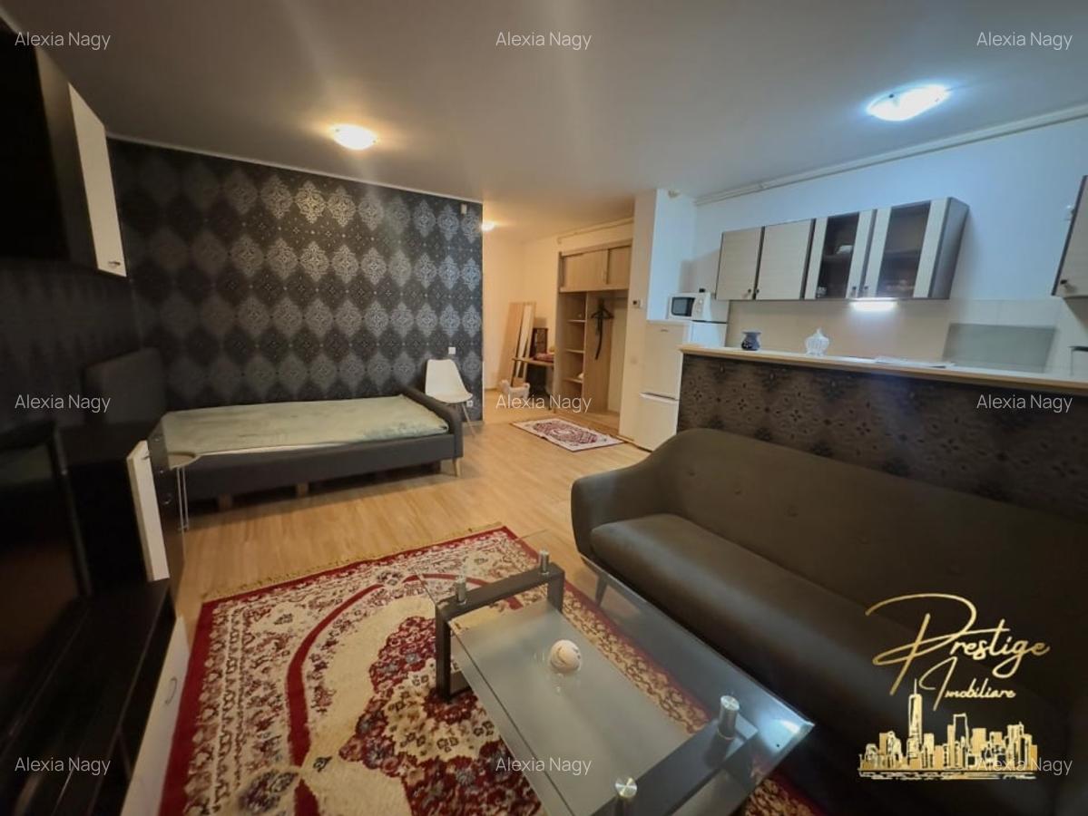 Studio/Apartament cu o camera de inchiriat in bloc nou - Ared - 3