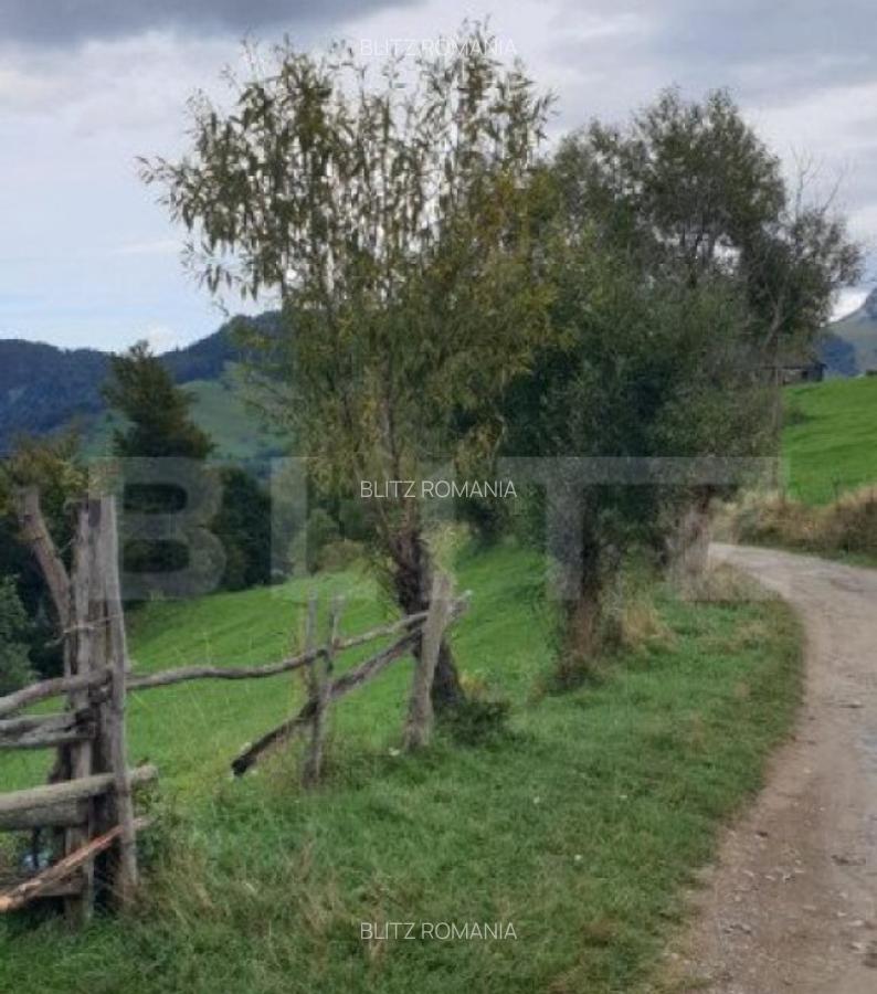 Teren 13.570 mp, Moieciu Pestera - 31