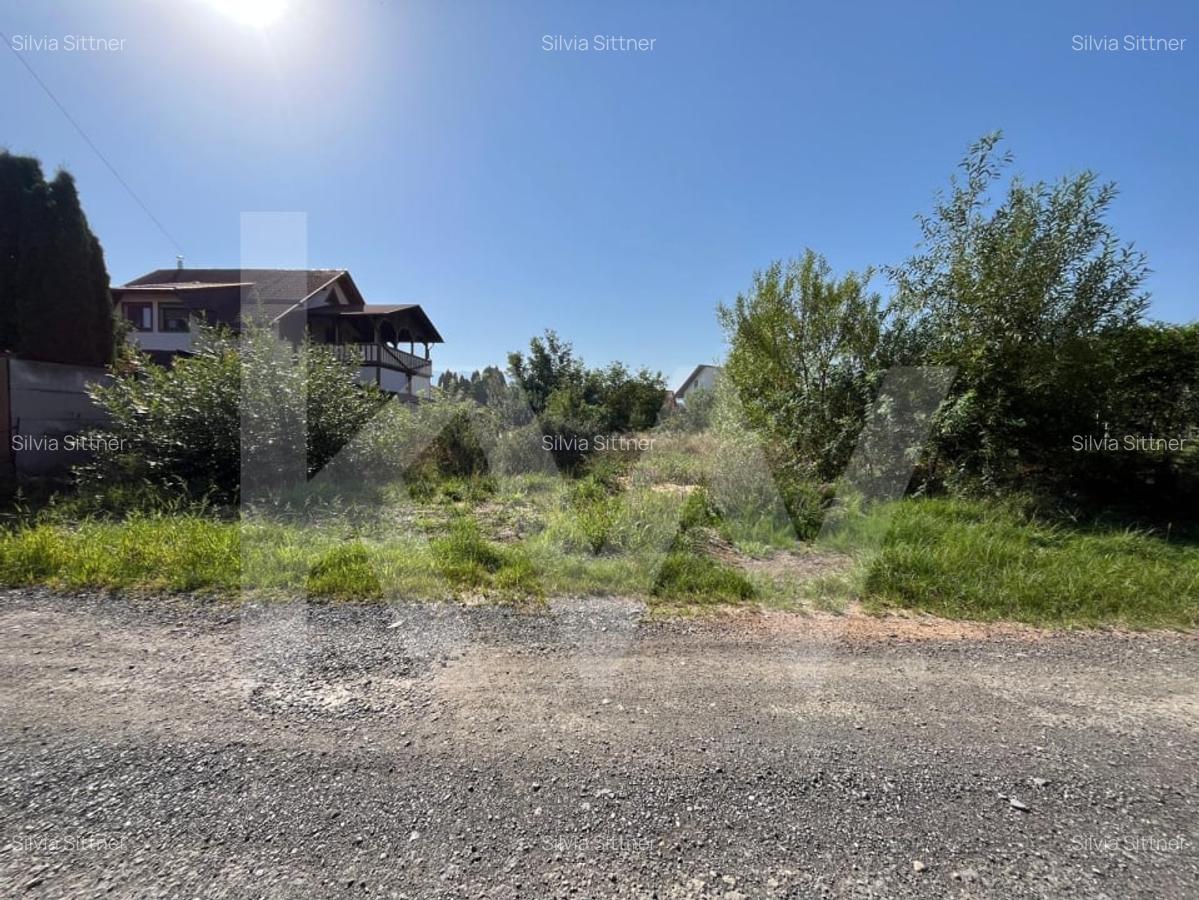 Teren intravilan 1.000 mp de vanzare Talmaciu - 3