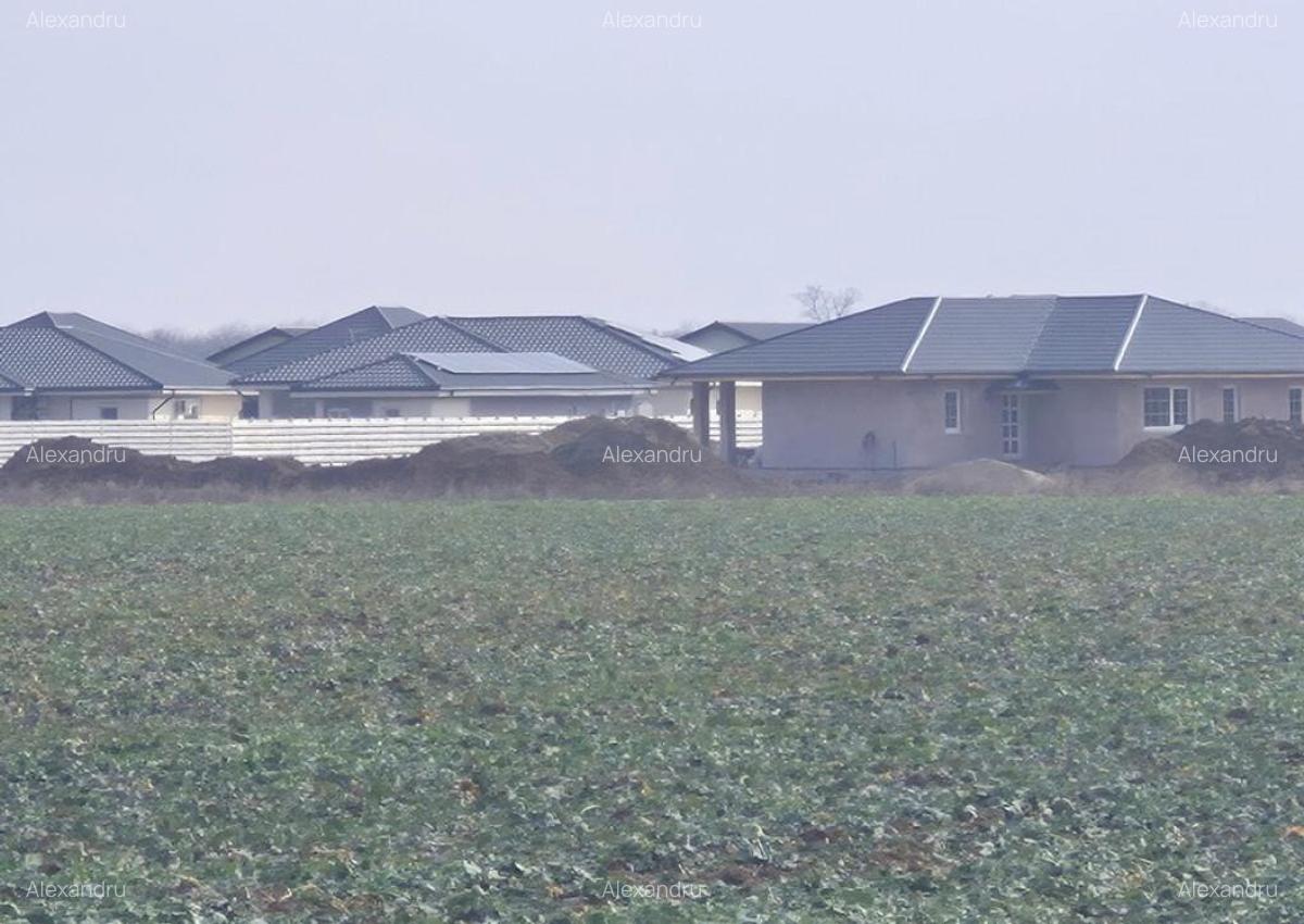 Teren intravilan Balotesti,langa ansamblul Terra si padure, 17000 euro - 1